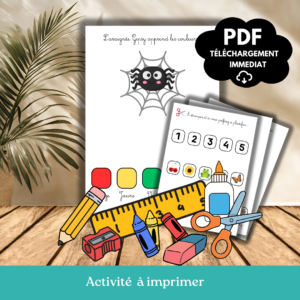 L’araignée Gipsy