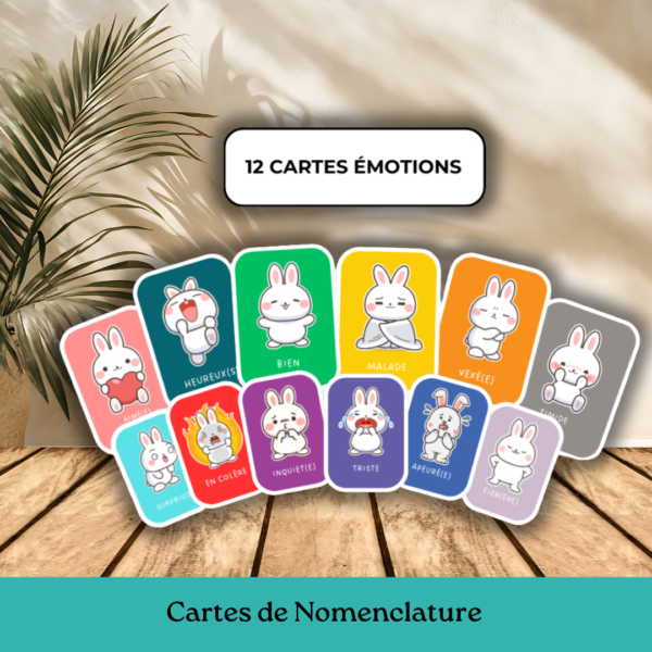 Cartes de Nomenclature